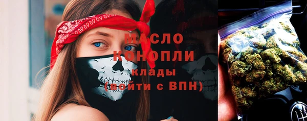 СК Алексин