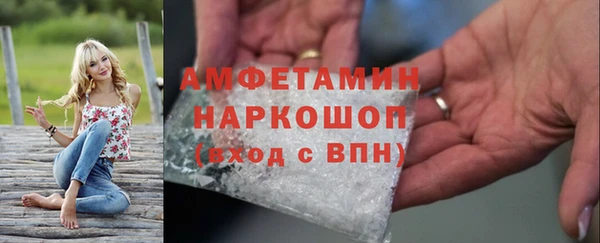 СК Алексин