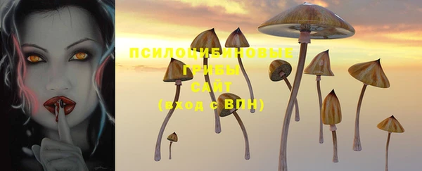 гашик Армянск