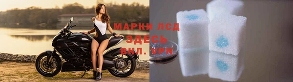 СК Алексин