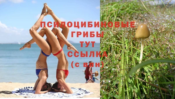 СК Арсеньев