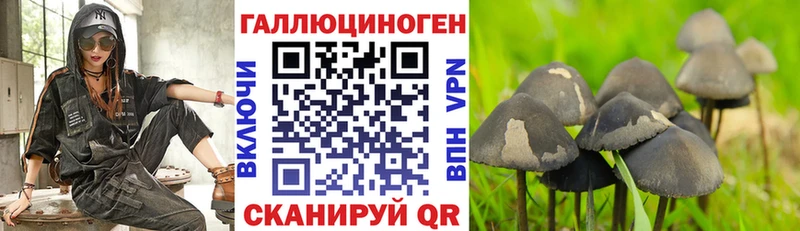 Псилоцибиновые грибы Magic Shrooms  наркотики  blacksprut маркетплейс  Пущино 